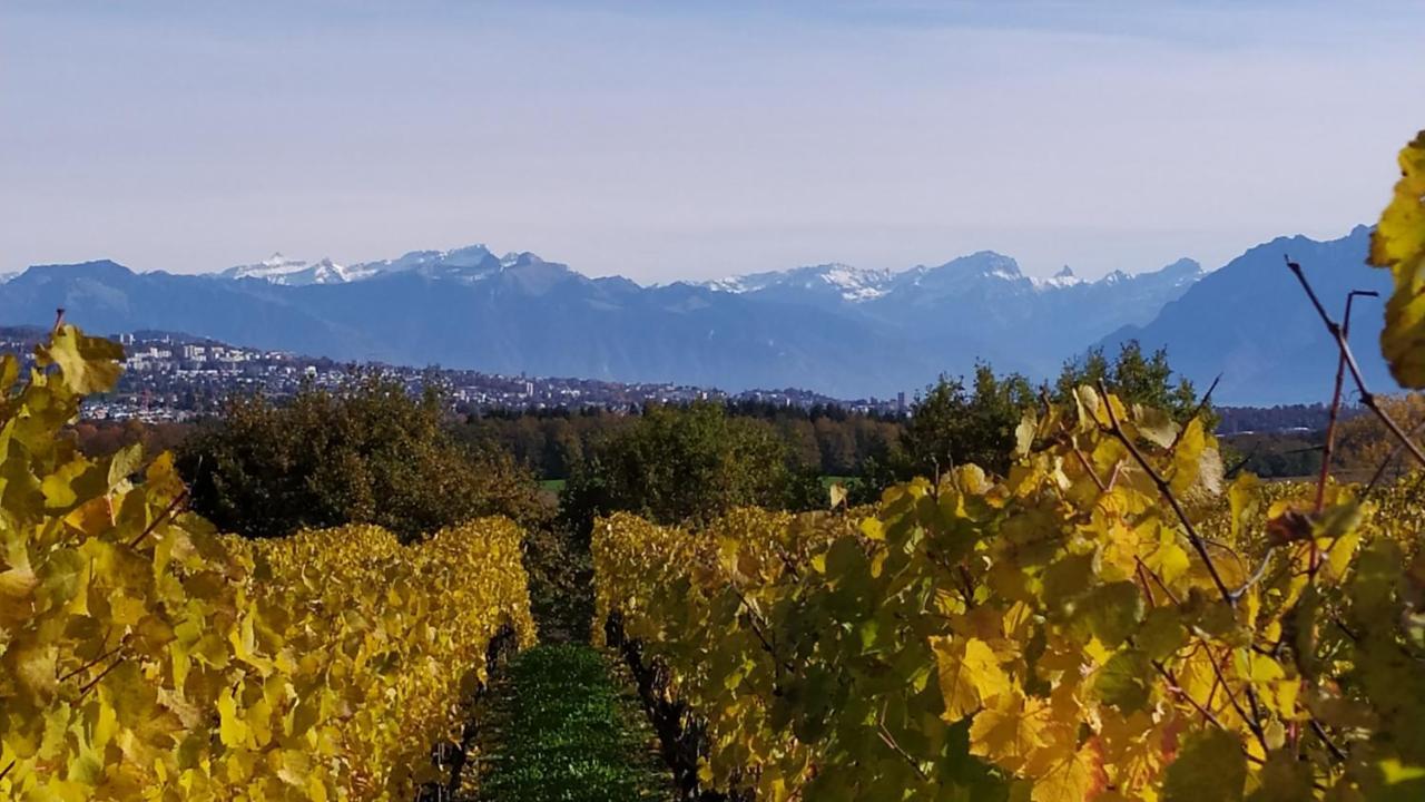 Guest House La Sereine Romanel-sur-Morges Екстер'єр фото