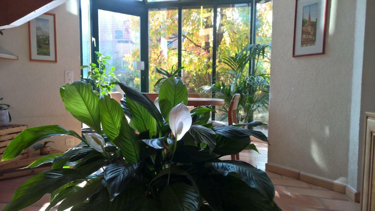 Guest House La Sereine Romanel-sur-Morges Екстер'єр фото